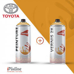 Bombe de peinture 400 ml +...