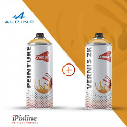 Bombe de peinture 400 ml +...