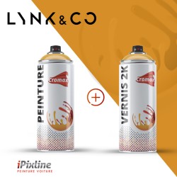 Bombe de peinture 400 ml +...