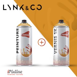 Bombe de peinture 400 ml +...