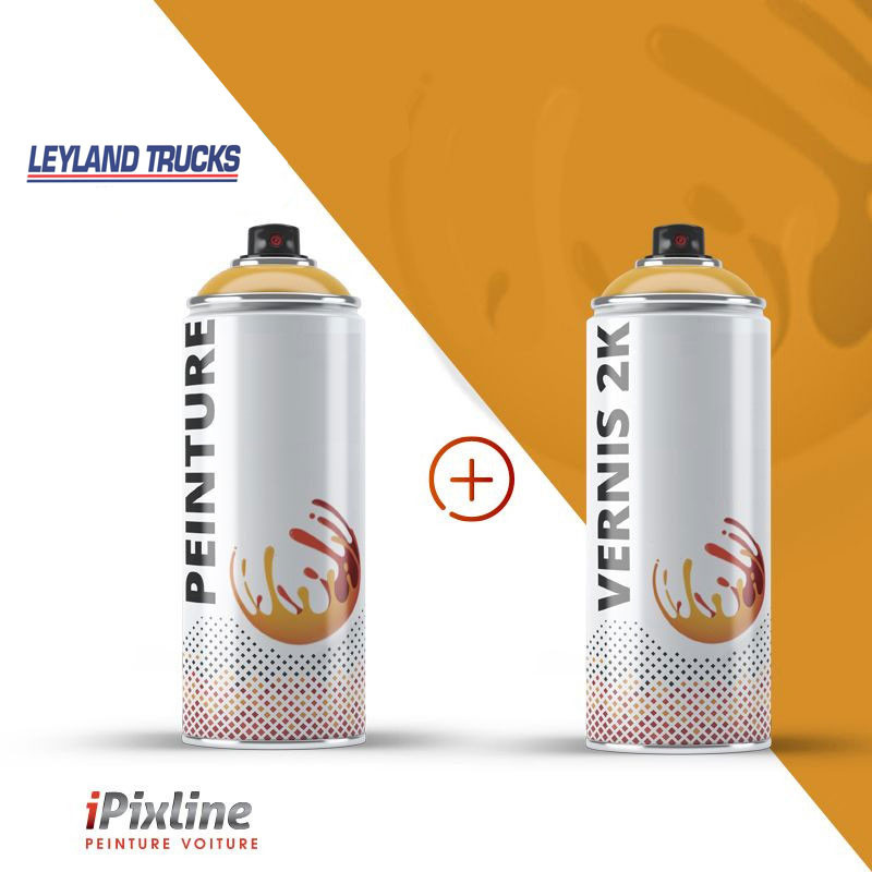 Bombe de peinture 400 ml + bombe de vernis 2K (bi-composant)