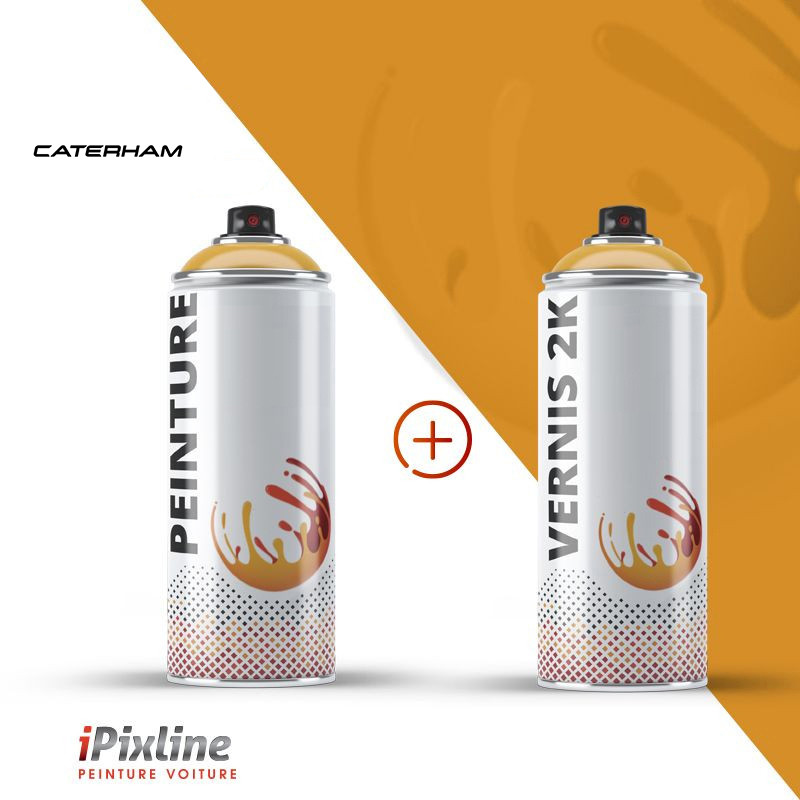 Bombe de peinture 400 ml + bombe de vernis 2K (bi-composant)