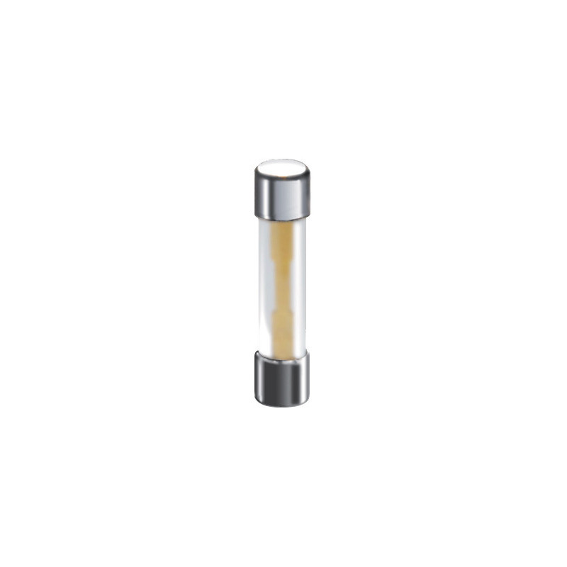 Restagraf 6837 FUSIBLE VERRE 20A 7 X 32 mm