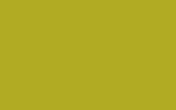peinture 1296907 pour daf trucks