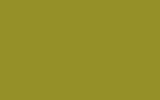 peinture f9119gree pour daf trucks
