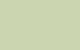 peinture h0931gree pour daf trucks