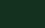 peinture j5843gree pour daf trucks