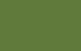 peinture k9643gree pour daf trucks