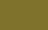 peinture m6464gree pour daf trucks