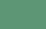peinture 7603 pour ford