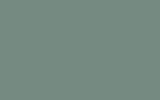 peinture ey329 pour ford