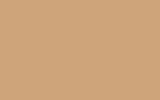 peinture 8958 pour general motors