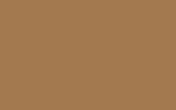 peinture 9201 pour general motors