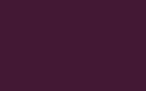 peinture 4519 pour man