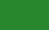 peinture 6238 pour mercedes trucks