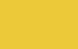 peinture yc6n pour mini