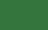 peinture 940 pour nissan