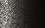 peinture 981 pour seat