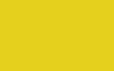 peinture jlc-y021 pour smart