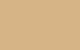 peinture ral 1001-gl pour smart