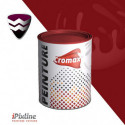 Pot de peinture 250 g