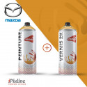 Bombe de peinture 400 ml + bombe de vernis 2K (bi-composant)